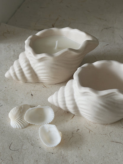 Shell Vessel Scented Candle | Silent Grove - Geranium, Cedarwood, Sandalwood | Handcrafted Stone Shell Vessel & Catch-All Tray